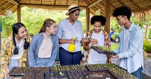 Transparência financeira